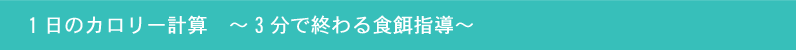 1日のカロリー計算3分で終わる食餌指導